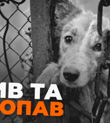 Обрано голову Корецького районного суду Рівненської області