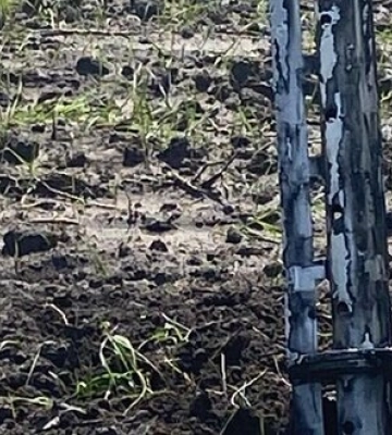 Ворог обстріляв Дворічну на Харківщині, двоє людей загинули, - ОВА