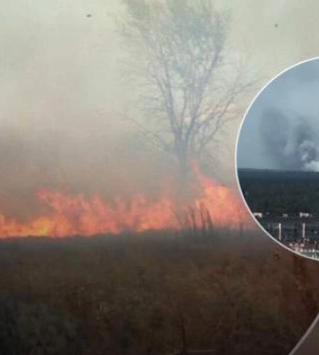 Під Києвом сталась пожежа у лісовому масиві: що сталось