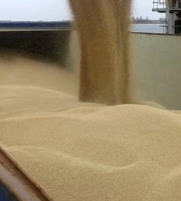 Експорт агропродукції з морських портів України за тиждень скоротився на 78% - УКАБ