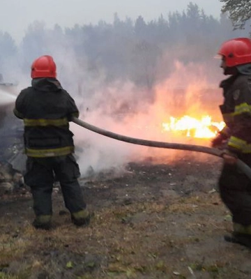 Біля Києва горить 15 га лісової підстилки - ДСНС