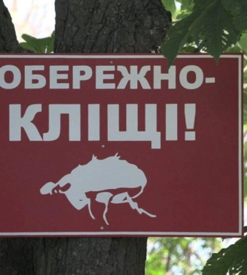 У яких районах Ізмаїла найбільше кліщів та що показало їх дослідження (відео)