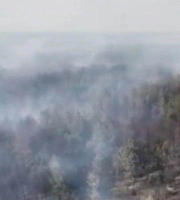 Масштабна пожежа під Києвом: з’явилося відео з висоти пташиного польоту