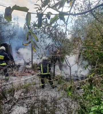 У Дніпрі дві години горів дачний будинок