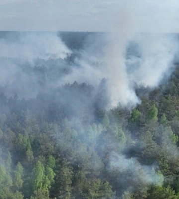 Масштабна пожежа під Києвом: з’явилися кадри з висоти пташиного польоту