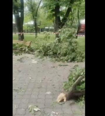 Ворожий обстріл Києва: уламки ракети пошкодили столичний зоопарк (відео)