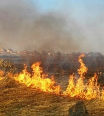 На Миколаївщині рятувальники ліквідували пожежу на відкритій території на площі 2 га