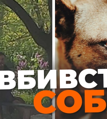 У Дніпрі місцевий мешканець стріляв з пістолета у собак