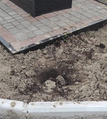 Невідомі у Здолбунові вкрали магнолію, яку там висадили лише в кінці квітня