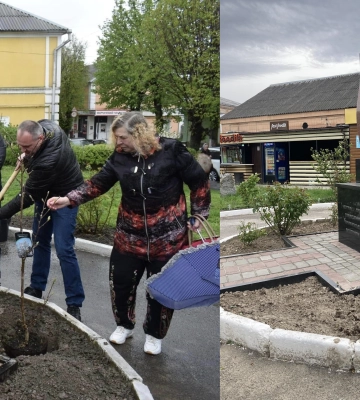 Невідомі у Здолбунові вкрали магнолію, яку там висадили лише в кінці квітня