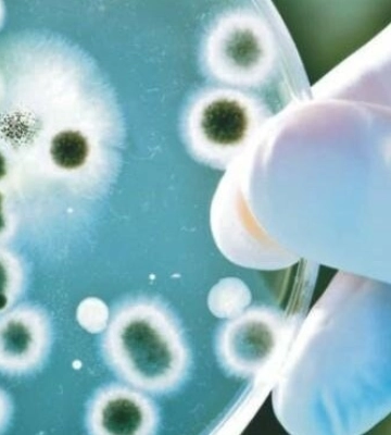 Захворюваність на гострі кишкові інфекції: яка ситуація в Одесі