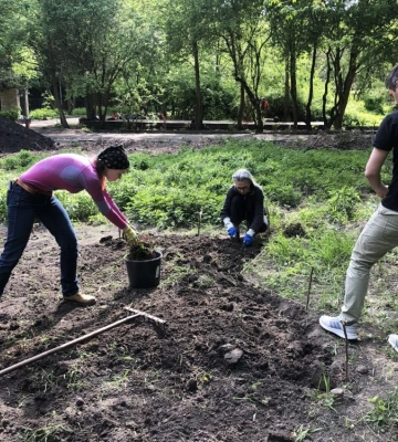 Буде красиво: у львівському парку засіяли різнотрав’я, - ФОТО