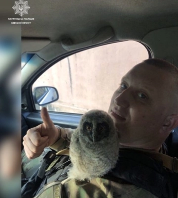 Одеські поліцейські в Херсоні врятували совеня