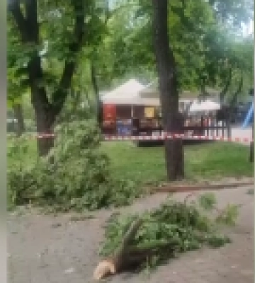 Від уламків ворожої ракети у столичному Зоопарку не постраждали ні працівники, ні тварини