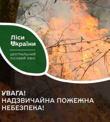 У лісах Кіровоградщини встановили високу та надзвичайну пожежну небезпеку