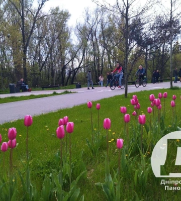 П'ятниця у Дніпрі буде найтепліша (Відео)