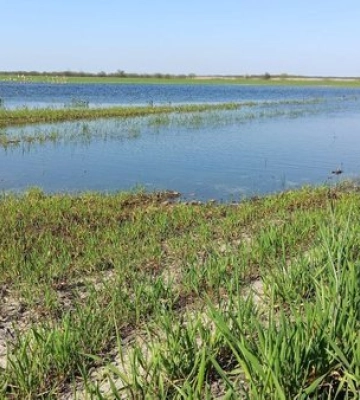 На Волині вдвічі зменшилися площі підтоплень