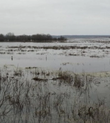 Площі підтоплень на Волині значно зменшилися