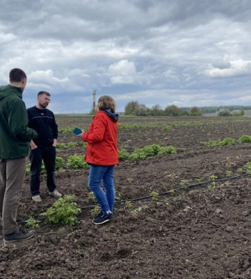 На Рівненщині розвивається органічний ягідний бізнес