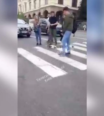 Порятунок качиного виводка в Києві: перехожі та поліція перекрили рух транспорту (ВІДЕО)