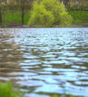 Рівень Дніпра в межах Києва знову піднявся, води додалося на 22 см