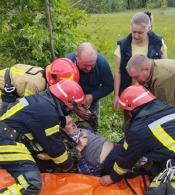 У Локачах легковик злетів у кювет і врізався у дерево 