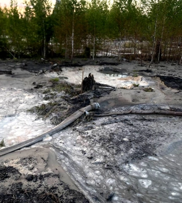 На Поліссі поліція ганяє бурштинокопачів (ФОТО)