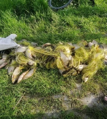 Більш ніж на 150 тисяч: у Дніпровському районі два браконьєри виловлювали рибу
