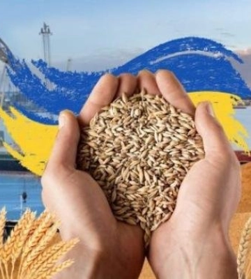 Одеський порт відновить роботу – зернову угоду продовжили на 120 днів