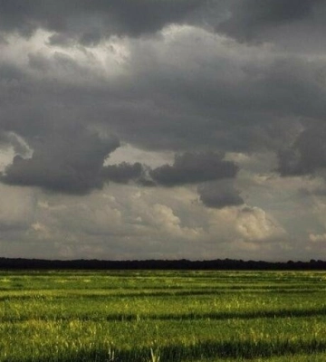 У п&#039;ятницю в Одесі очікується гроза, а в області - град