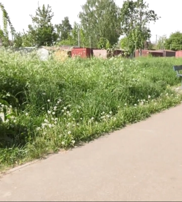 Коли у Полтаві почнуть косити траву?