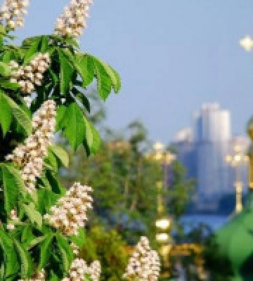 У Києві з запізненням розпочалось метеорологічне літо