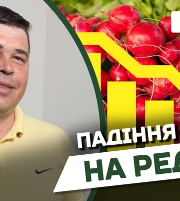 Стало відомо, чому у Дніпрі стрімко вдвічі впали ціни на редис (відео)