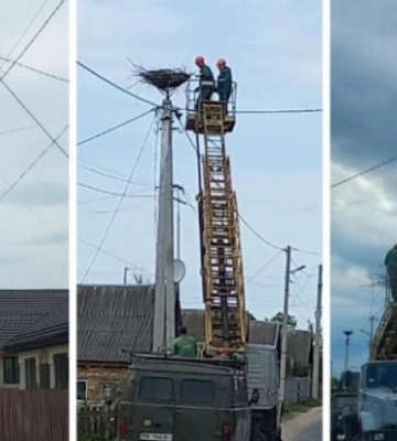 У селі на Рівненщині встановили домівку для пари молодих лелек