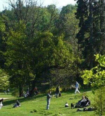 З понеділка львівські парки оброблятимуть від кліщів. Графік