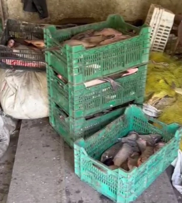 Незаконний улов на понад 8 млн грн: на Полтавщині поліція викрила браконьєрів