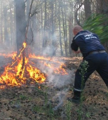На Полтавщині найвищий клас пожежної небезпеки: що заборонено