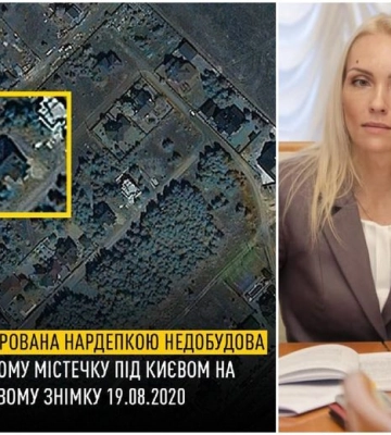 Нардепка забыла задекларировать дом