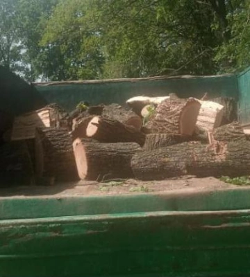 Незаконна вирубка — на Полтавщині знайшли вантажівку з розпиляними колодами