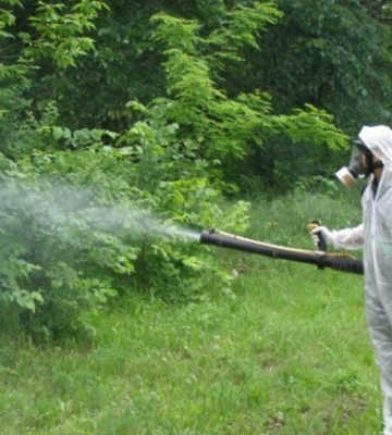 В Києві парки оброблятимуть отрутою від кліщів: куди краще не ходити