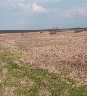 Землі водного фонду на Волині віддають в оренду на 10 років