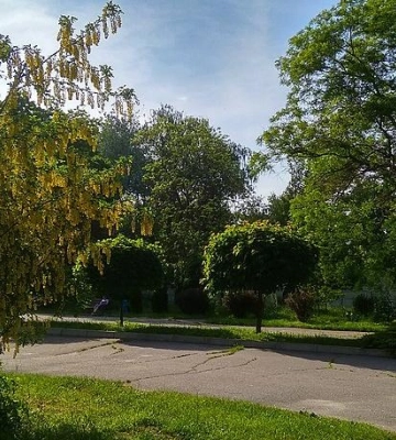 У Кременчуці набирають учнів безплатної «екологічної школи»
