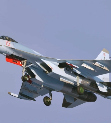 Повітряні сили підтвердили збиття Су-35 та назвали кількість знищених ракет