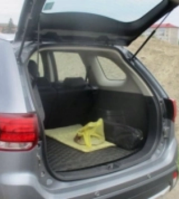 У Сарнах в автівці волинянина знайшли бурштин
