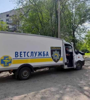 В Одеській області стерилізуватимуть безпритульних собак