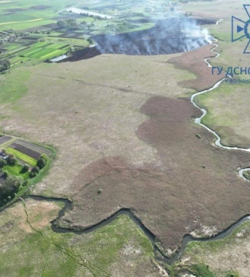 Біля Луцька згоріло пів поля: особу палія встановили