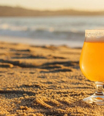 AB InBev Efes Україна. Пивоварний завод у Миколаєві відновив роботу вперше з початку війни