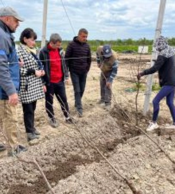 Сади та ягідники проти борщівника й безгосподарності