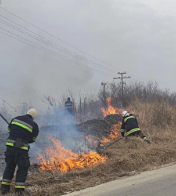 На Львівщині минулої доби вогонь знищив 2 га сухостою