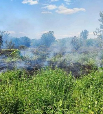 На Закарпатті рятувальники гасили масштабну пожежу в екосистемі